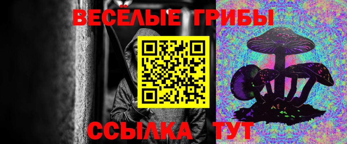 Псилоцибиновые грибы MAGIC MUSHROOMS  Вход с VPN  наркотики  Волоколамск 